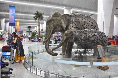 Delhi The Elephant .